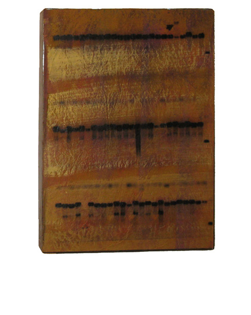 Genoma